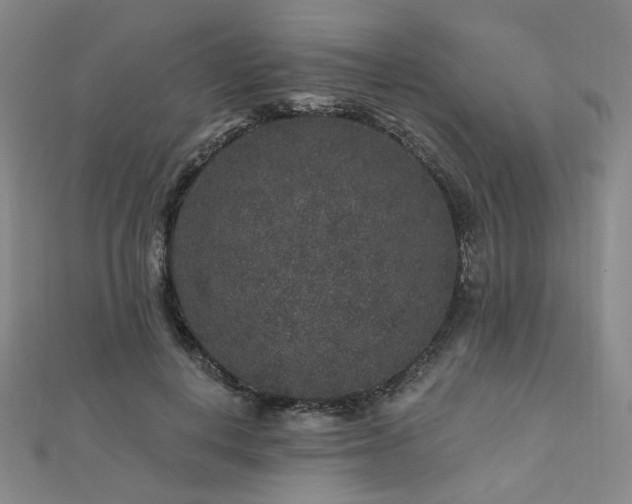 X0000112890648200908211454