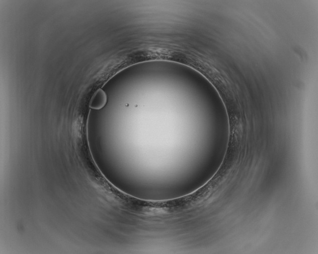 X0000112890649200908211454