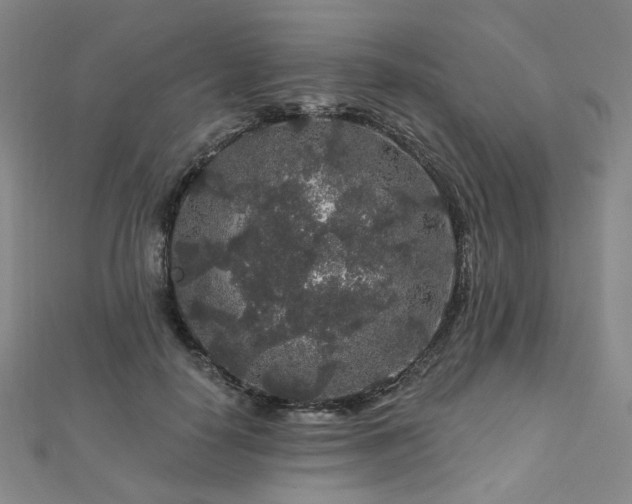X0000112890650200908211454