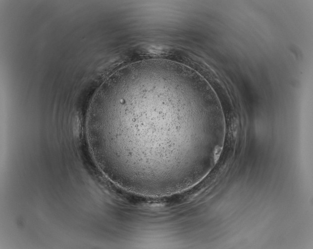 X0000112890651200908211454