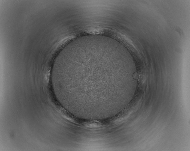 X0000112890652200908211454