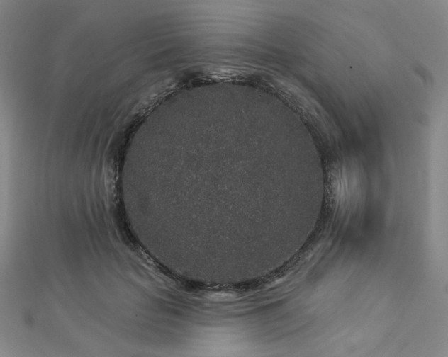 X0000112890653200908211454