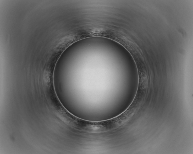 X0000112890654200908211454