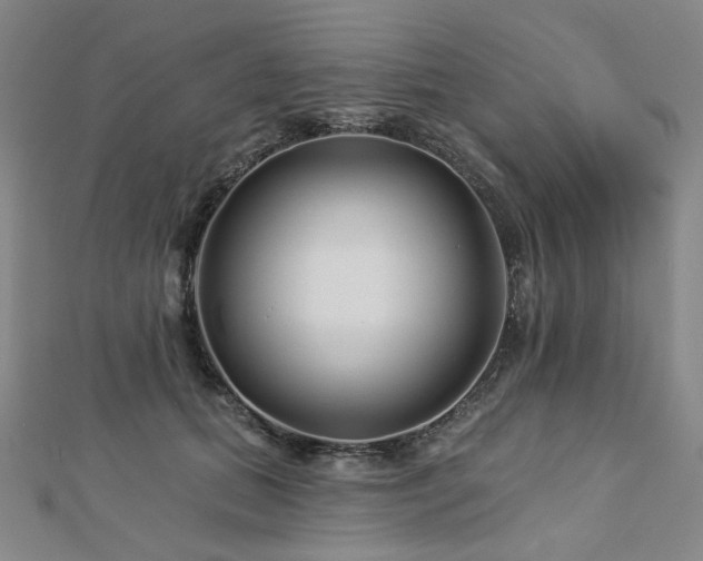 X0000112890655200908211455