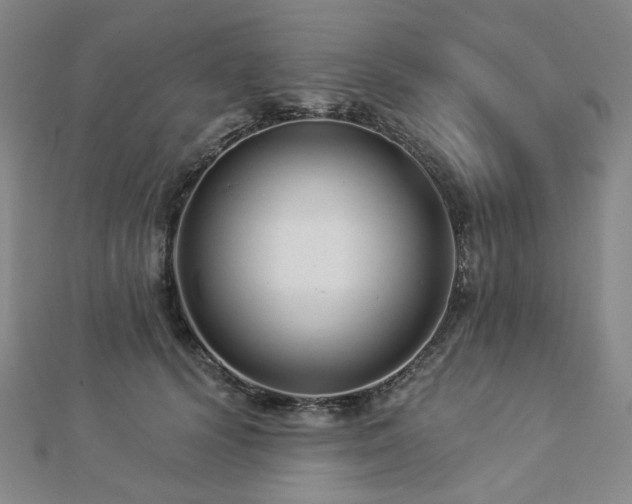 X0000112890656200908211455