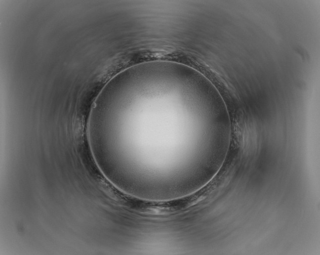 X0000112890657200908211455