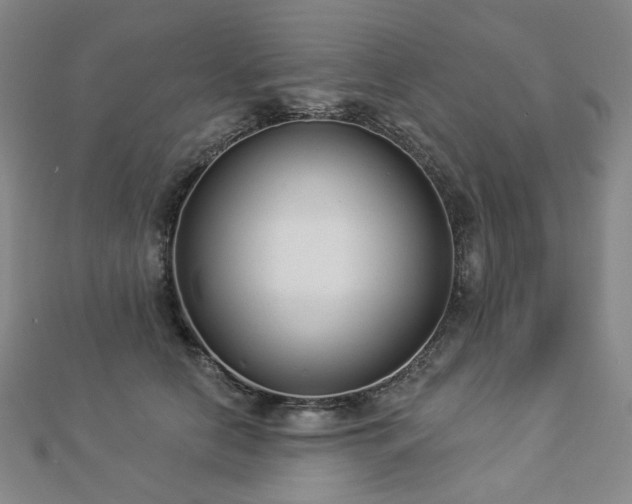 X0000112890658200908211455
