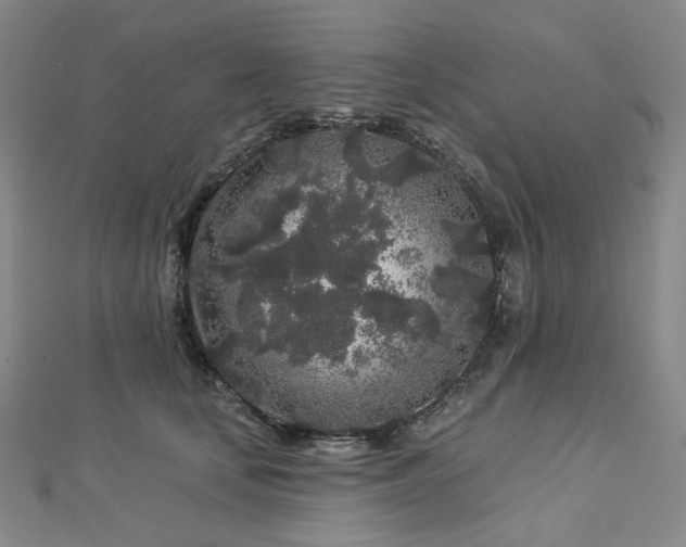 X0000112890659200908211455