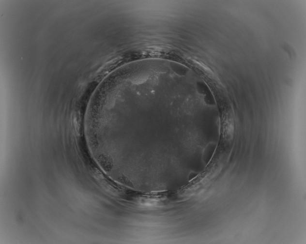 X0000112890661200908211455
