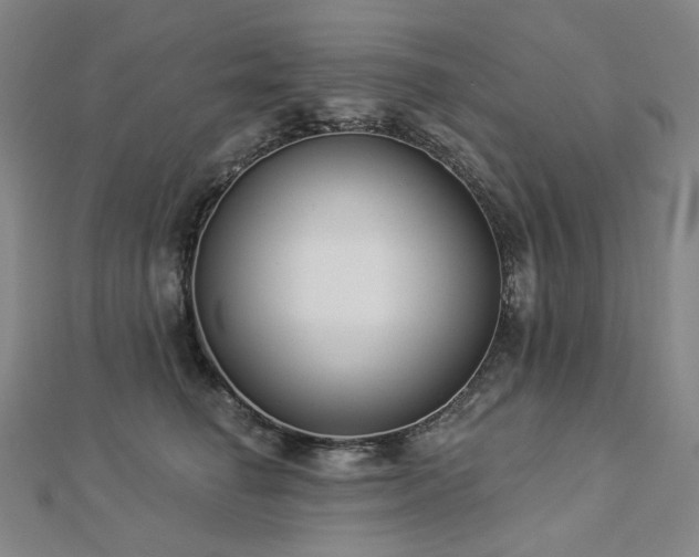 X0000112890662200908211455