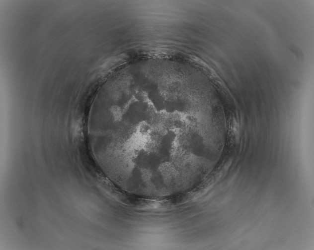 X0000112890663200908211455