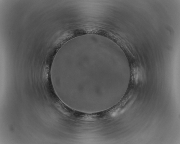 X0000112890664200908211455