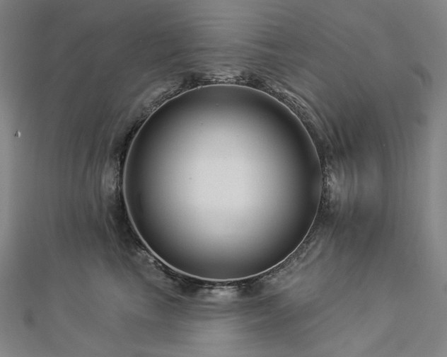 X0000112890665200908211455