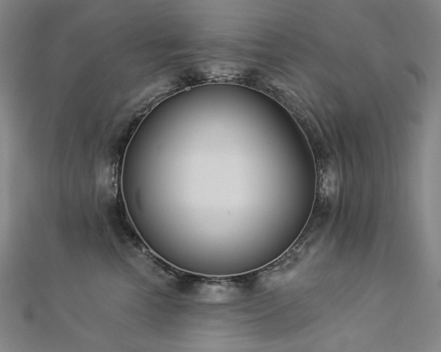 X0000112890666200908211455