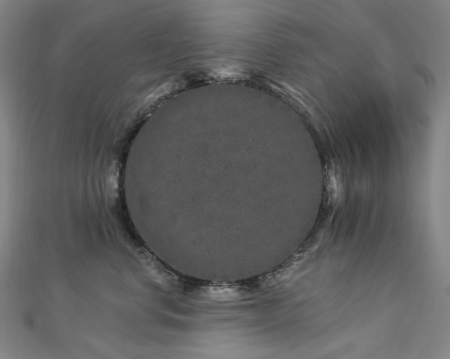 X0000112890668200908211455