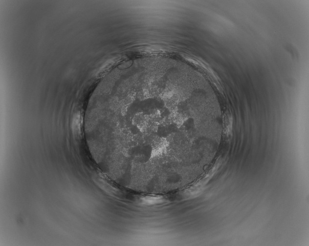 X0000112890669200908211455