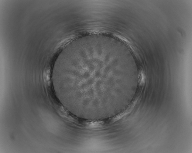 X0000112890670200908211455