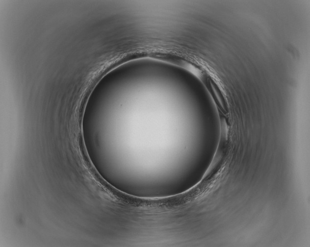 X0000112890673200908211454