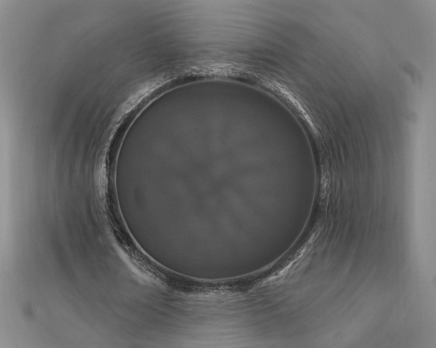 X0000112890674200908211454