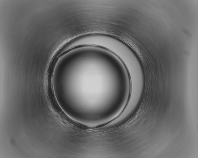 X0000112890676200908211454