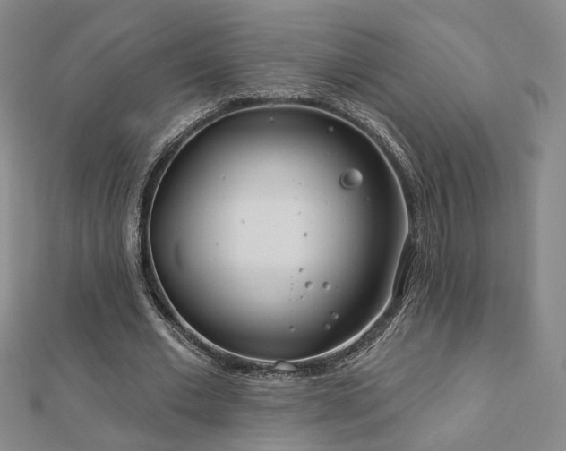 X0000112890677200908211454