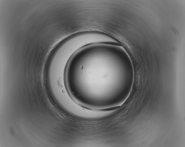 X0000112890680200908211454