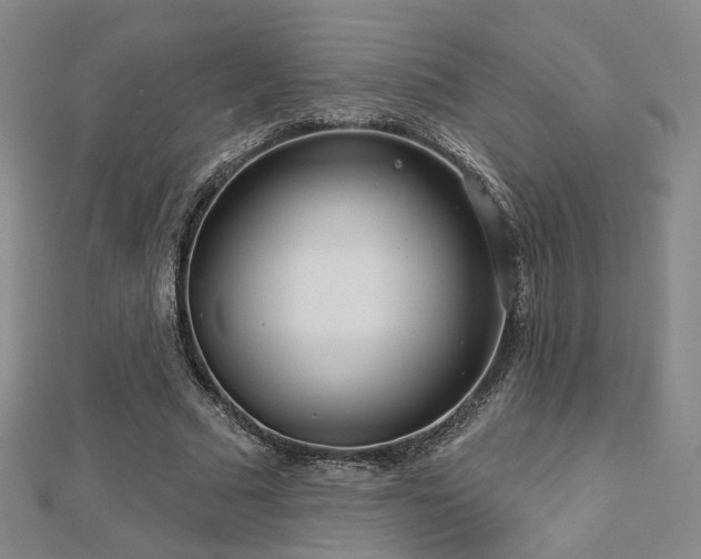 X0000112890681200908211454