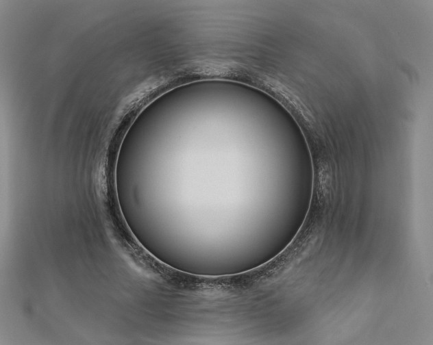 X0000112890682200908211454