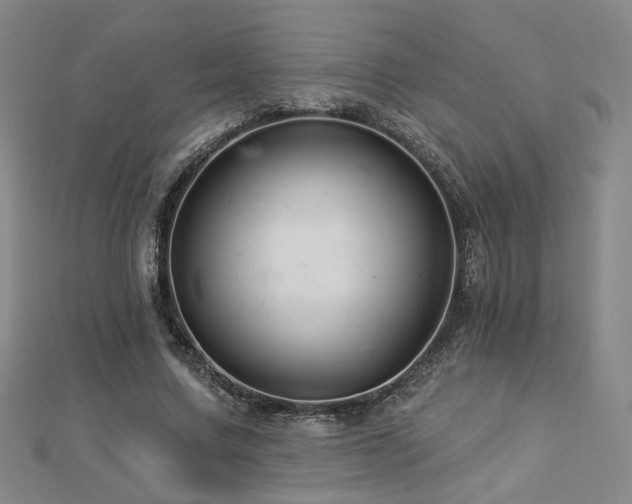 X0000112890683200908211454