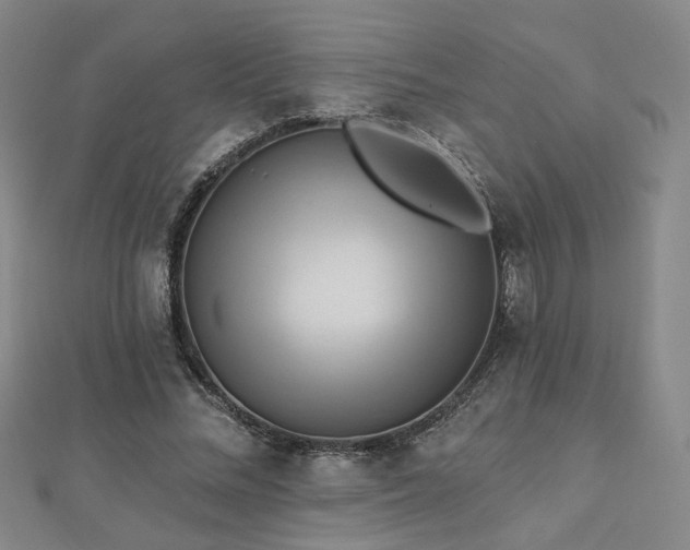 X0000112890684200908211454