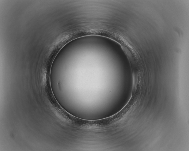 X0000112890685200908211454