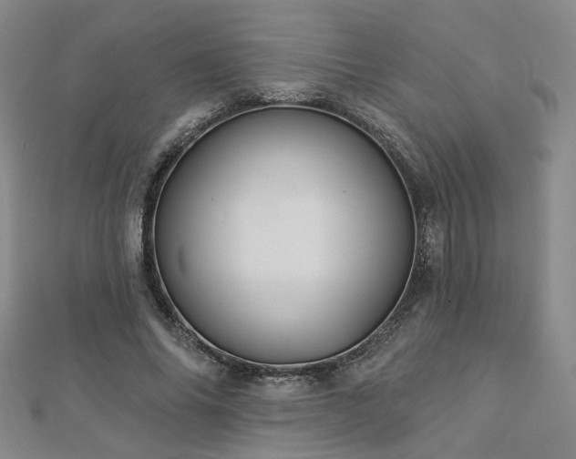 X0000112890686200908211454