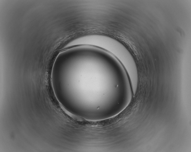 X0000112890689200908211454