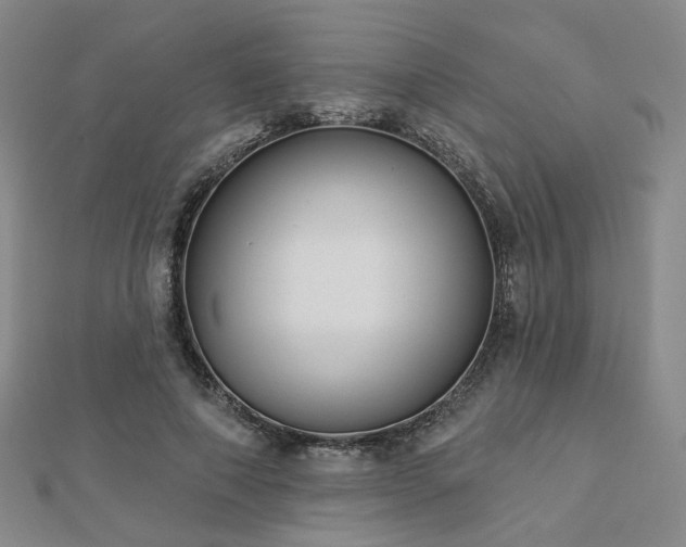 X0000112890690200908211454