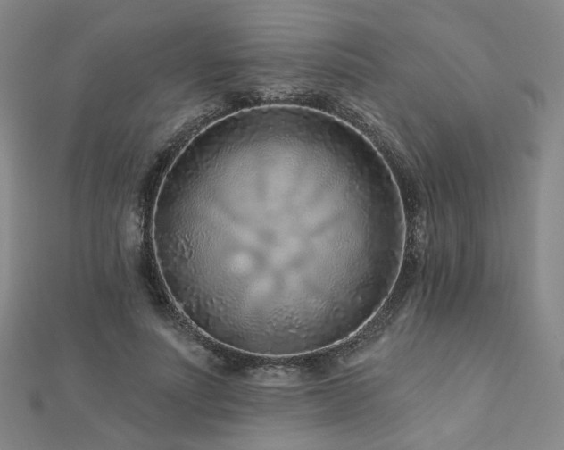 X0000112890691200908211454