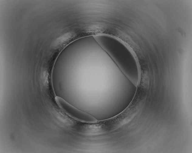 X0000112890692200908211454