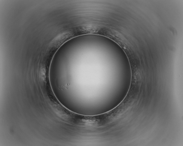 X0000112890693200908211454