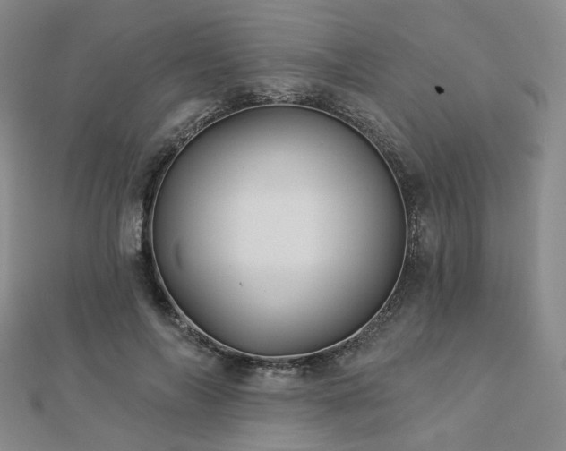 X0000112890694200908211454