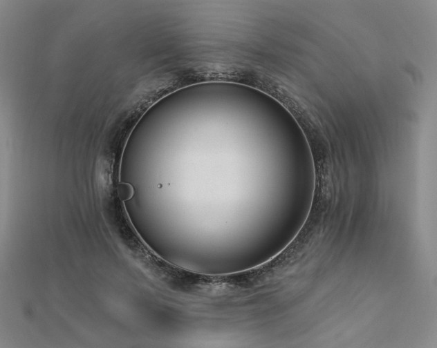 X0000112890695200908211454