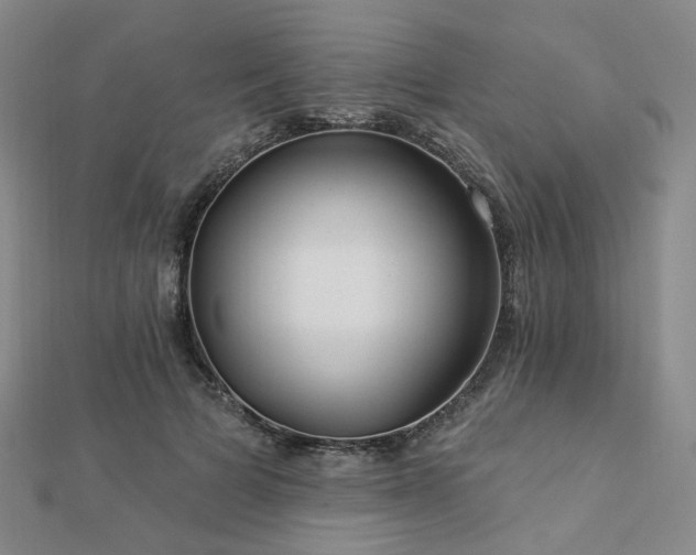 X0000112890697200908211454
