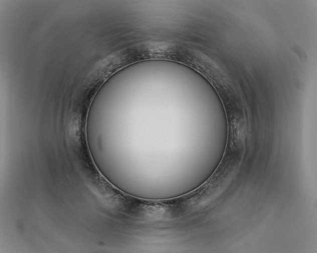 X0000112890698200908211454