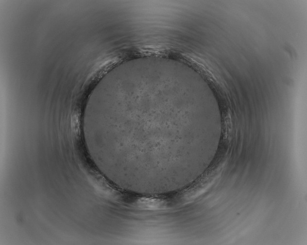 X0000112890699200908211454