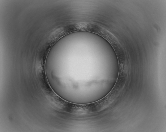 X0000112890702200908211454