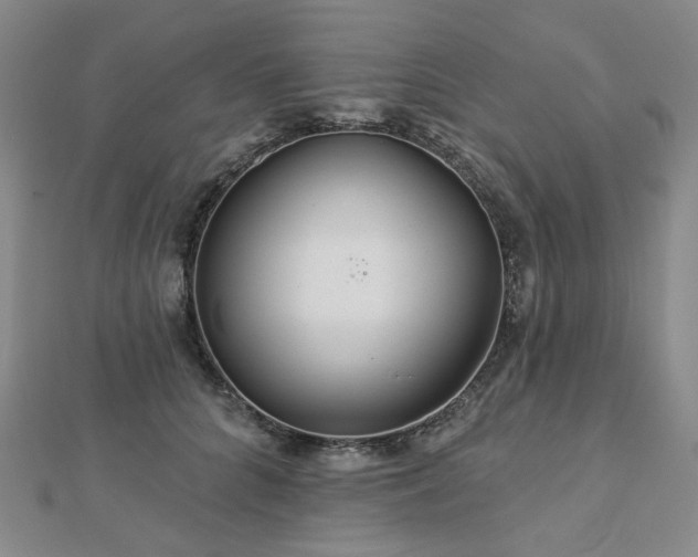 X0000112890704200908211454