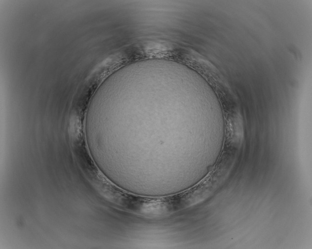 X0000112890705200908211454