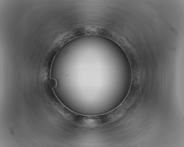 X0000112890706200908211454