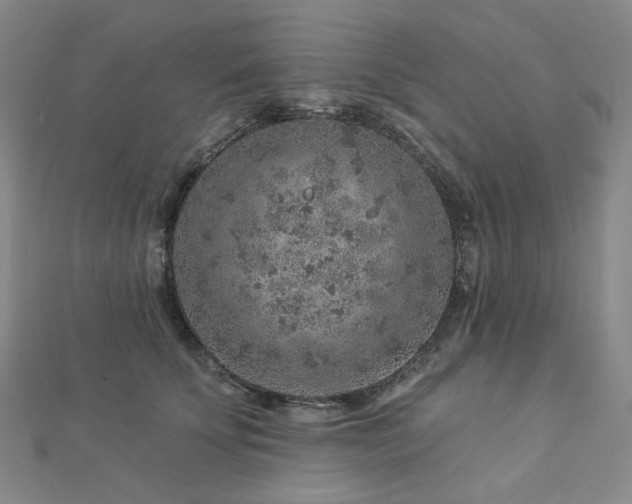 X0000112890707200908211454