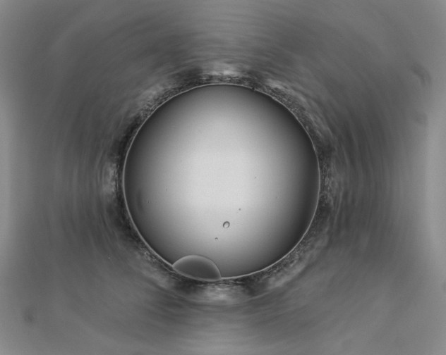 X0000112890708200908211454