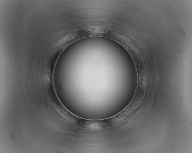 X0000112890710200908211454