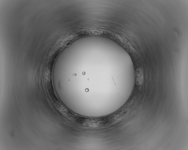 X0000112890713200908211454